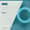 Сети — Business