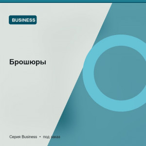 Брошюры — Business