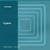 Сумки — Express