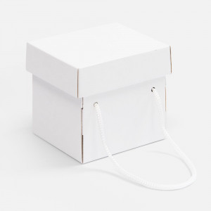 Коробка Kitbag, ver.2, белая