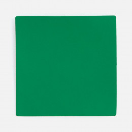 Лейбл Listra Soft Touch, L, зеленый